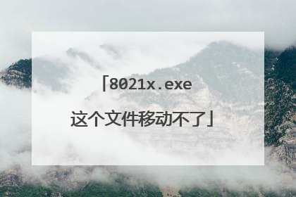 8021x.exe 这个文件移动不了