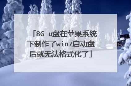 8G u盘在苹果系统下制作了win7启动盘后就无法格式化了