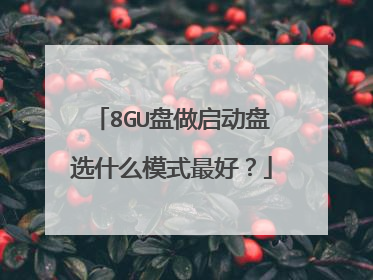 8GU盘做启动盘选什么模式最好?