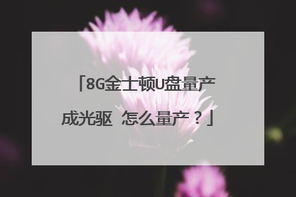 8G金士顿U盘量产成光驱 怎么量产?