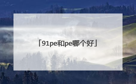91pe和pe哪个好