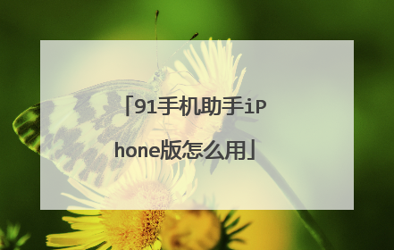 91手机助手iPhone版怎么用