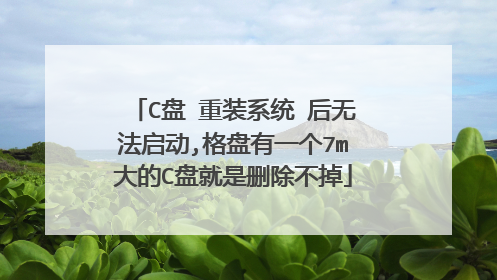 C盘 重装系统 后无法启动,格盘有一个7m大的C盘就是删除不掉