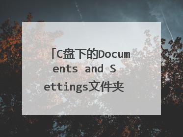C盘下的Documents and Settings文件夹可以删除吗？