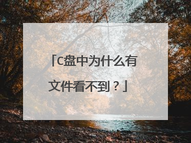 C盘中为什么有文件看不到?