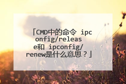 CMD中的命令 ipconfig/release和 ipconfig/renew是什么意思？