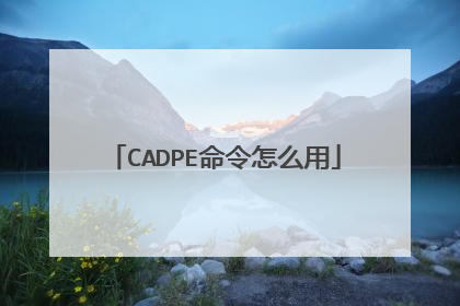 CADPE命令怎么用