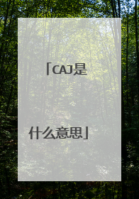 CAJ是什么意思