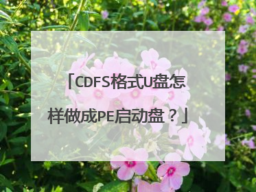 CDFS格式U盘怎样做成PE启动盘?