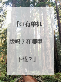 CF有单机版吗?在哪里下载?