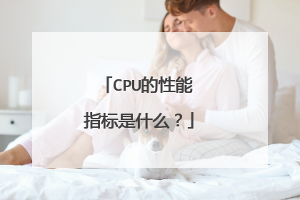 CPU的性能指标是什么?