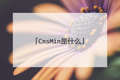 CnsMin是什么