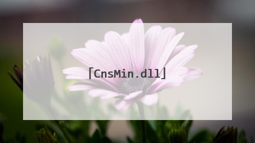 CnsMin.dll