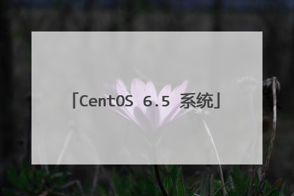 CentOS 6.5 系统