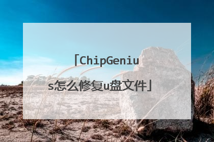 ChipGenius怎么修复u盘文件