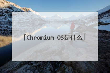 Chromium OS是什么