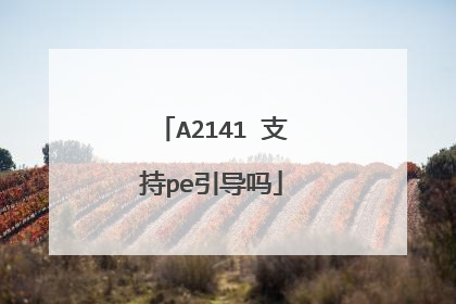 A2141 支持pe引导吗