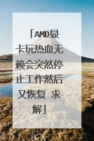 AMD显卡玩热血无赖会突然停止工作然后又恢复 求解