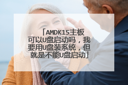 AMDK15主板可以U盘启动吗,我要用U盘装系统,但就是不能U盘启动