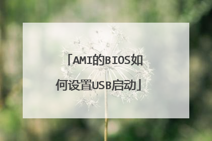 AMI的BIOS如何设置USB启动