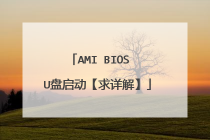AMI BIOS U盘启动【求详解】