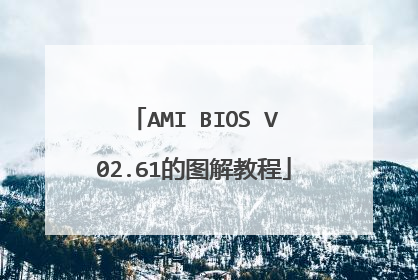 AMI BIOS V02.61的图解教程