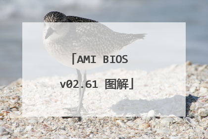 AMI BIOS v02.61 图解