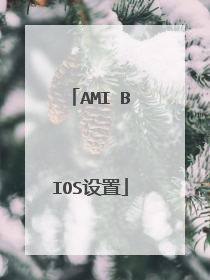 AMI BIOS设置