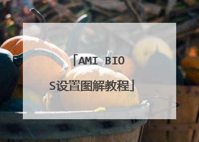 AMI BIOS设置图解教程