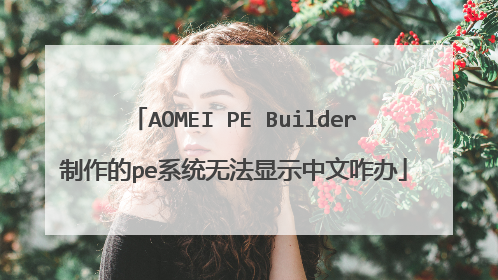AOMEI PE Builder制作的pe系统无法显示中文咋办