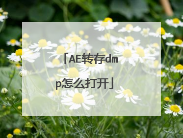 AE转存dmp怎么打开