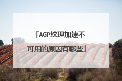 AGP纹理加速不可用的原因有哪些