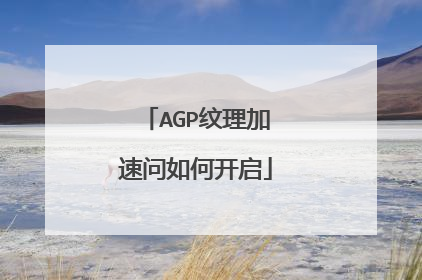 AGP纹理加速问如何开启
