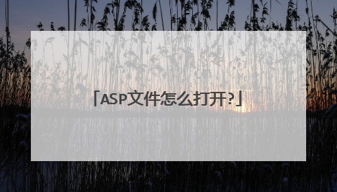 ASP文件怎么打开?