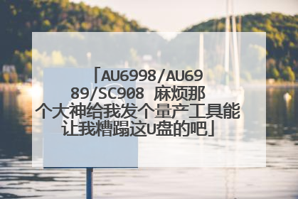 AU6998/AU6989/SC908 麻烦那个大神给我发个量产工具能让我糟蹋这U盘的吧