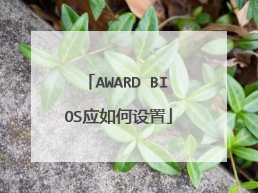AWARD BIOS应如何设置