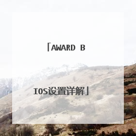 AWARD BIOS设置详解
