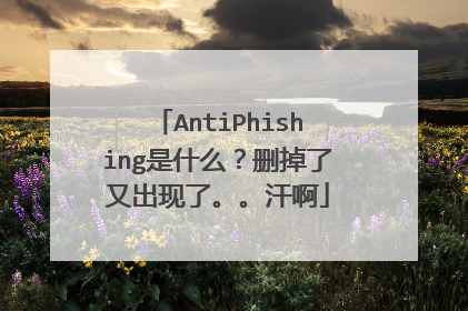 AntiPhishing是什么?删掉了又出现了。。汗啊