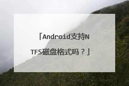 Android支持NTFS磁盘格式吗?