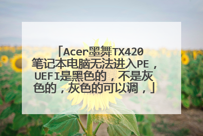 Acer墨舞TX420笔记本电脑无法进入PE,UEFI是黑色的,不是灰色的,灰色的可以调,