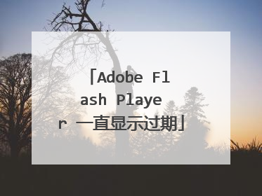 Adobe Flash Player 一直显示过期