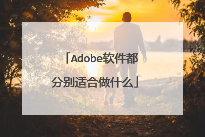 Adobe软件都分别适合做什么