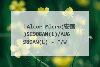 Alcor Micro(安国)SC908AN(L)/AU6989AN(L) - F/W D81C 4GU盘的量产工具