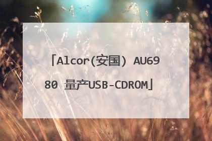 Alcor(安国) AU6980 量产USB-CDROM