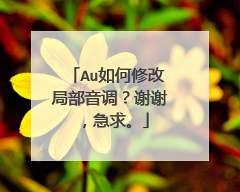 Au如何修改局部音调?谢谢,急求。