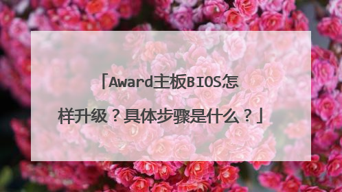 Award主板BIOS怎样升级?具体步骤是什么?