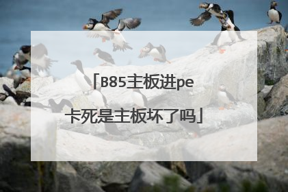 B85主板进pe卡死是主板坏了吗