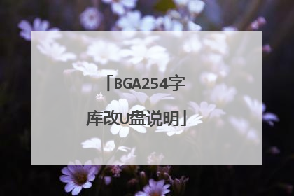 BGA254字库改U盘说明