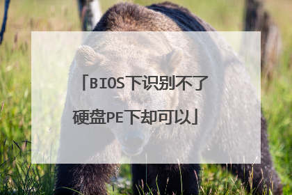 BIOS下识别不了硬盘PE下却可以