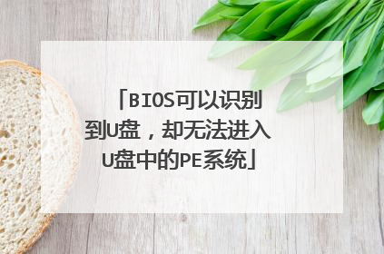 BIOS可以识别到U盘，却无法进入U盘中的PE系统